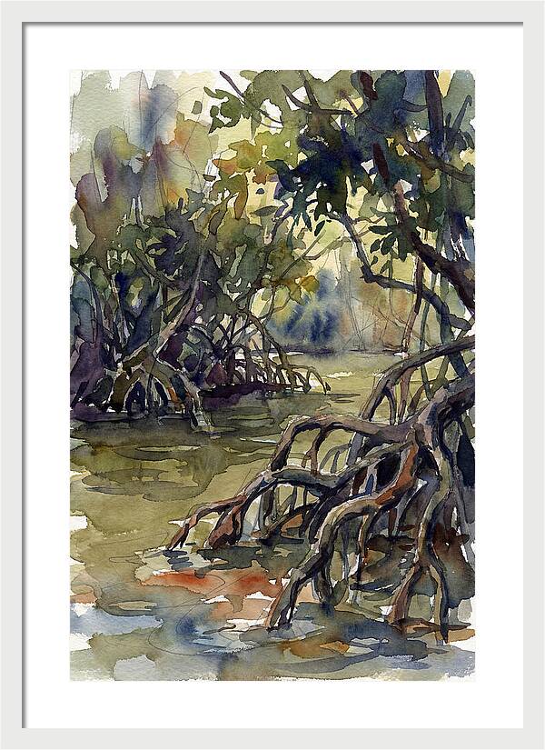 Tranquil Waters Among Mangroves 5217