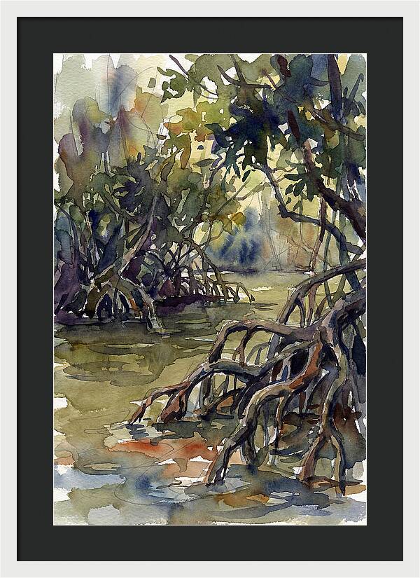 Tranquil Waters Among Mangroves 5217