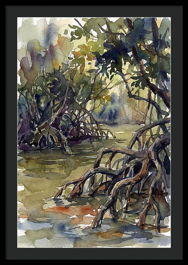 Tranquil Waters Among Mangroves 5217