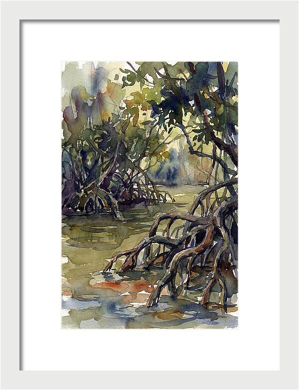 Tranquil Waters Among Mangroves 5217