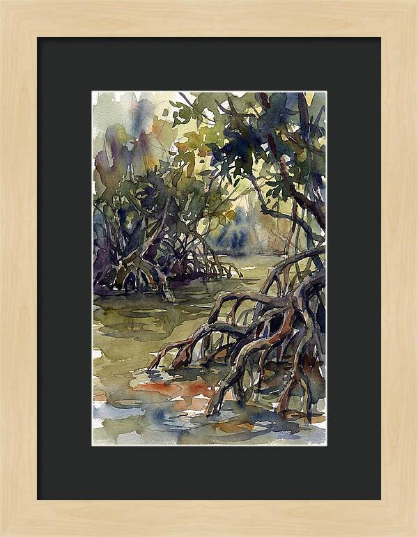 Tranquil Waters Among Mangroves 5217