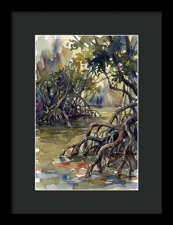 Tranquil Waters Among Mangroves 5217