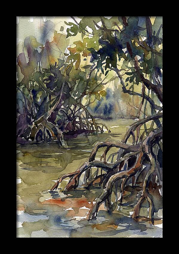 Tranquil Waters Among Mangroves 5217