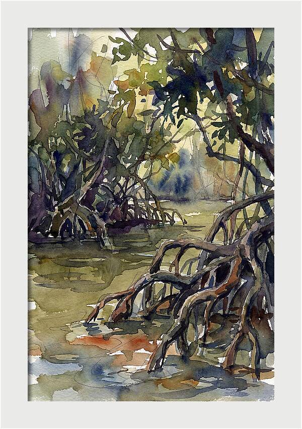 Tranquil Waters Among Mangroves 5217