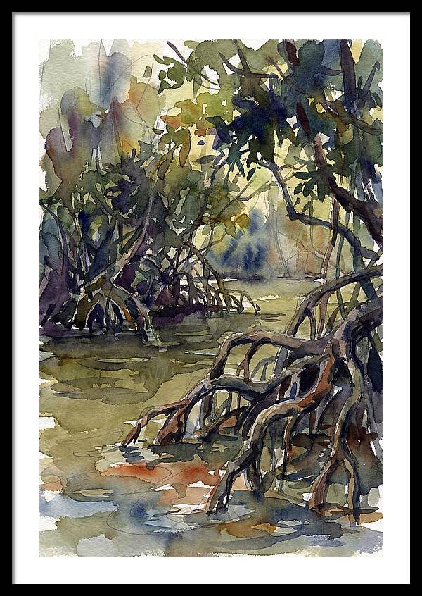 Tranquil Waters Among Mangroves 5217