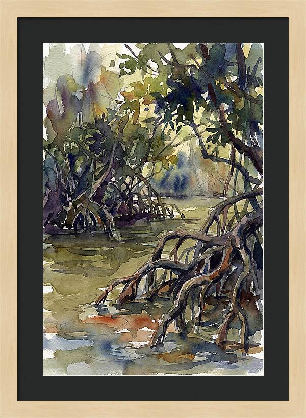 Tranquil Waters Among Mangroves 5217