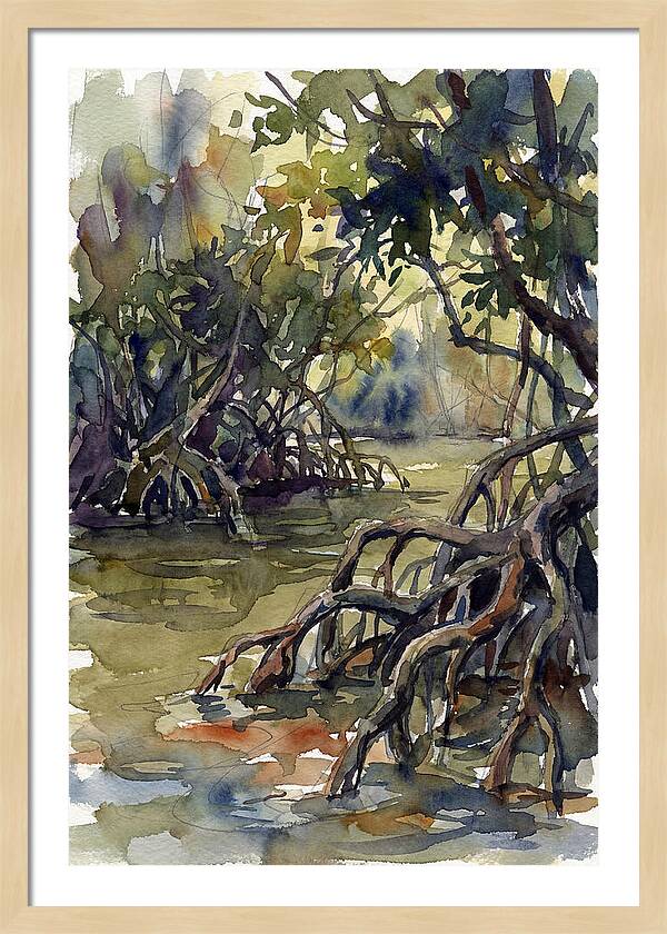 Tranquil Waters Among Mangroves 5217