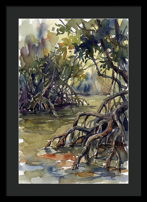 Tranquil Waters Among Mangroves 5217