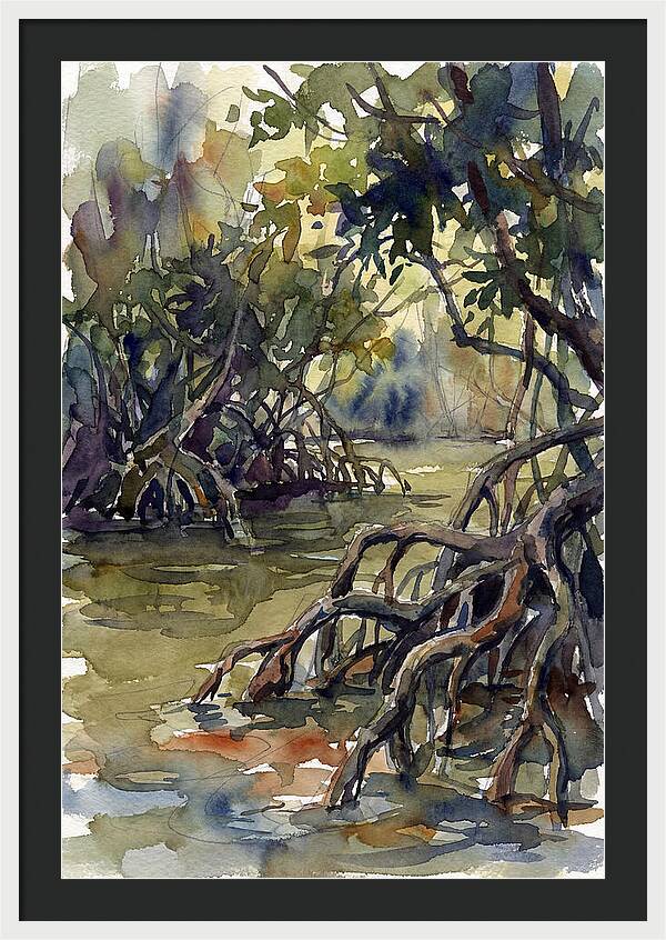 Tranquil Waters Among Mangroves 5217