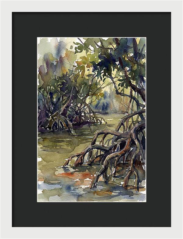 Tranquil Waters Among Mangroves 5217