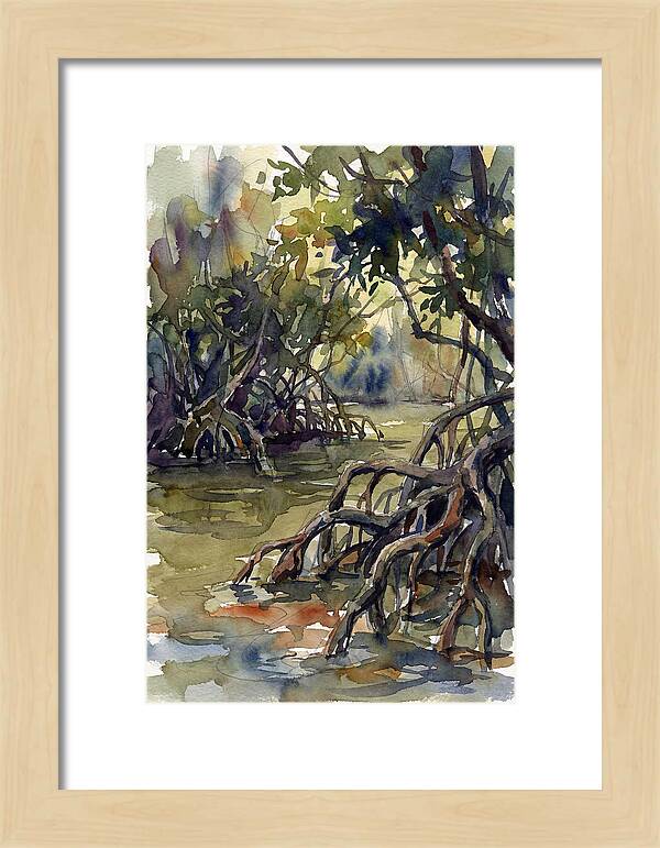 Tranquil Waters Among Mangroves 5217