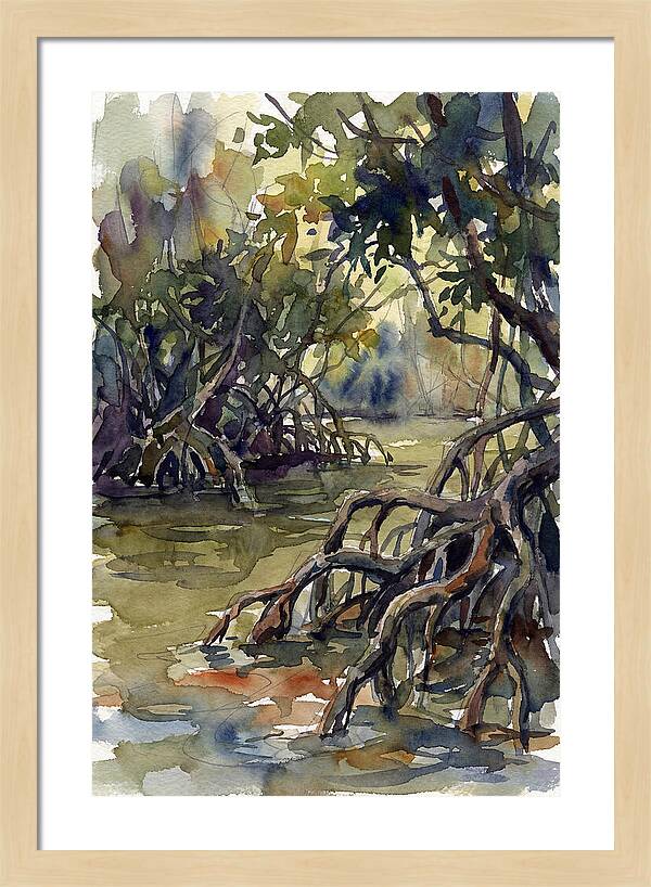 Tranquil Waters Among Mangroves 5217