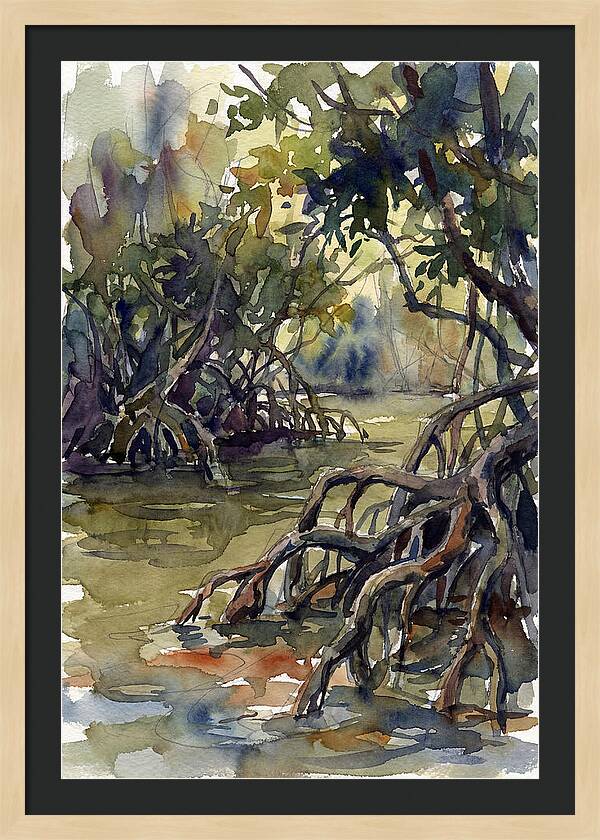 Tranquil Waters Among Mangroves 5217