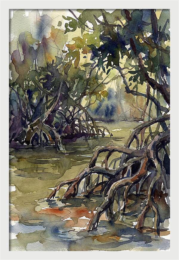 Tranquil Waters Among Mangroves 5217