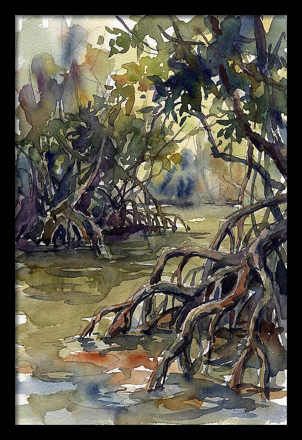 Tranquil Waters Among Mangroves 5217