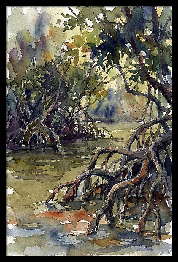 Tranquil Waters Among Mangroves 5217