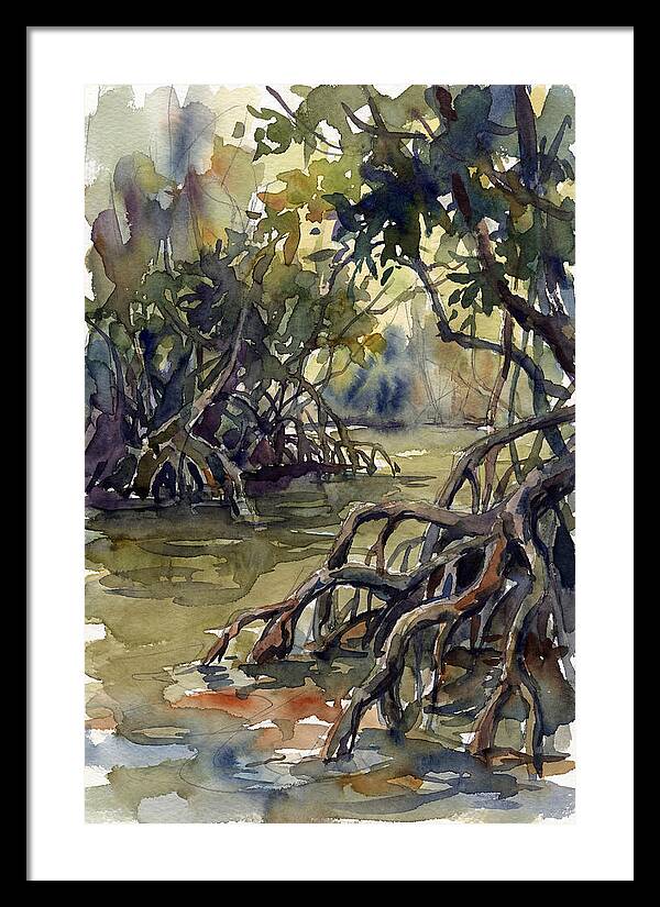 Tranquil Waters Among Mangroves 5217