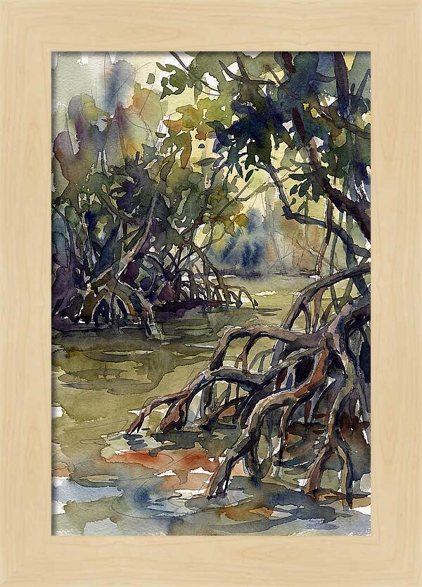 Tranquil Waters Among Mangroves 5217