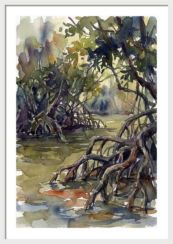 Tranquil Waters Among Mangroves 5217