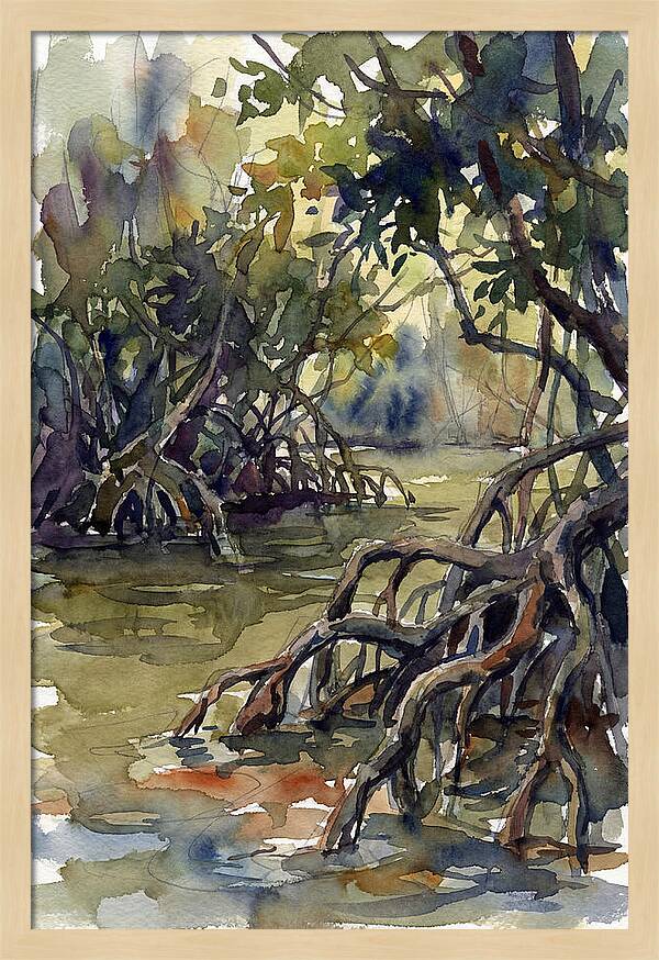 Tranquil Waters Among Mangroves 5217