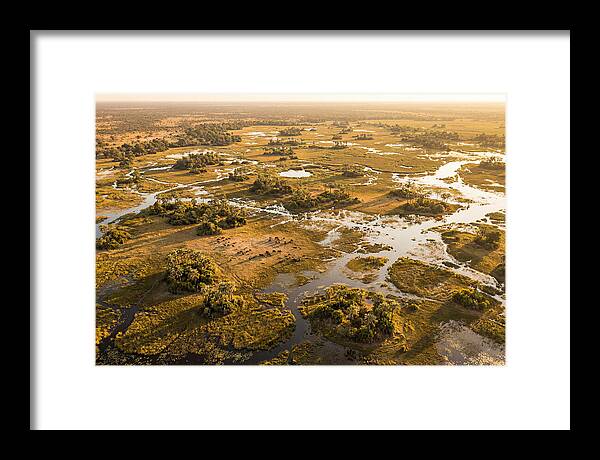 Tranquil Waters Of Okavango