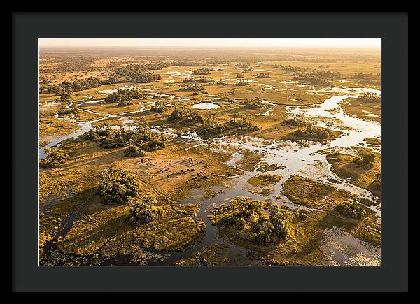 Tranquil Waters Of Okavango
