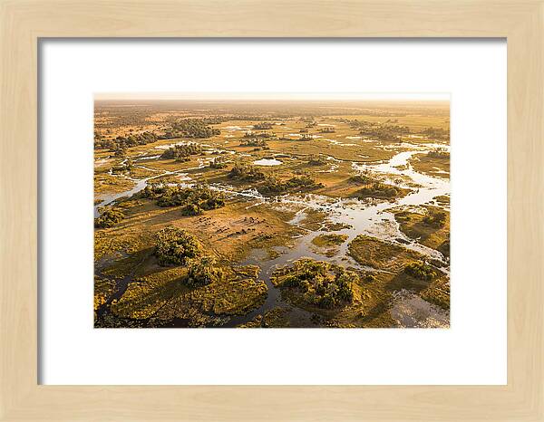 Tranquil Waters Of Okavango