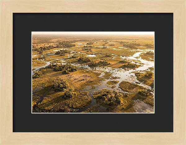 Tranquil Waters Of Okavango