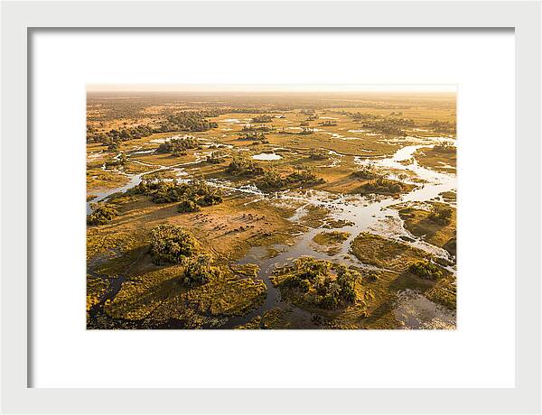 Tranquil Waters Of Okavango