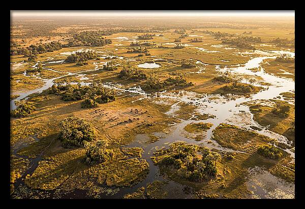 Tranquil Waters Of Okavango