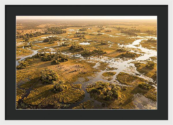 Tranquil Waters Of Okavango