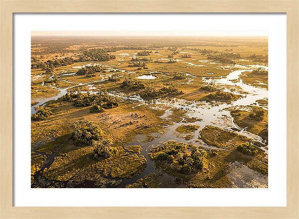 Tranquil Waters Of Okavango