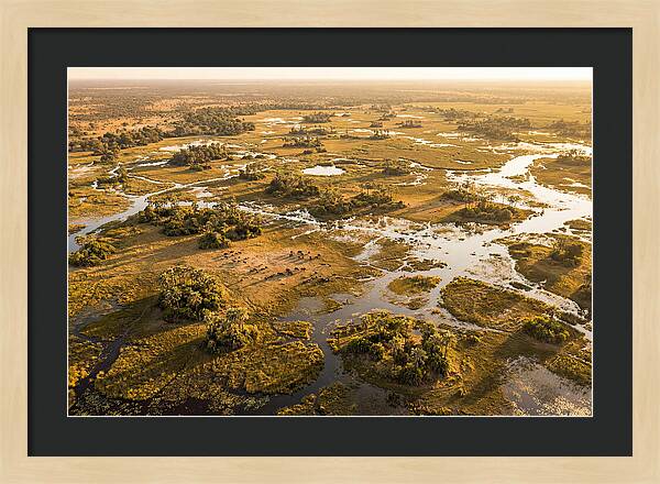 Tranquil Waters Of Okavango