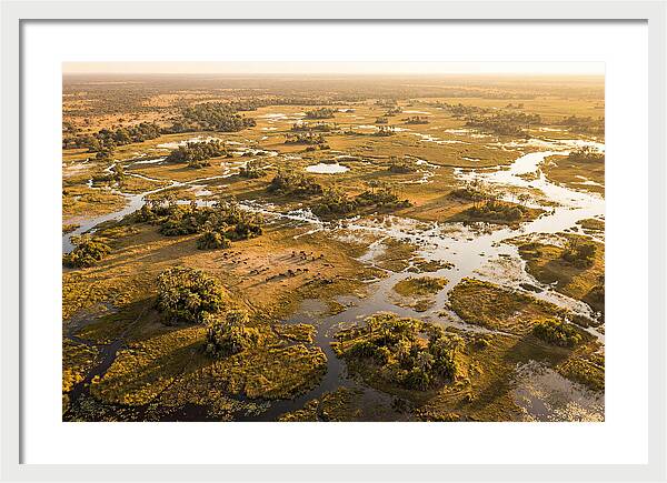 Tranquil Waters Of Okavango