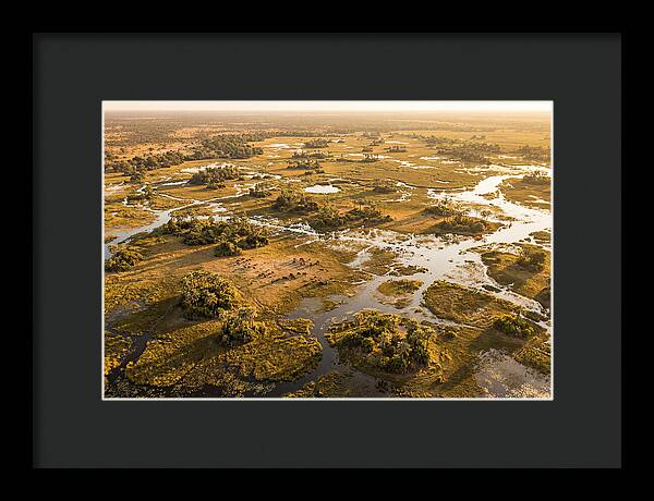 Tranquil Waters Of Okavango