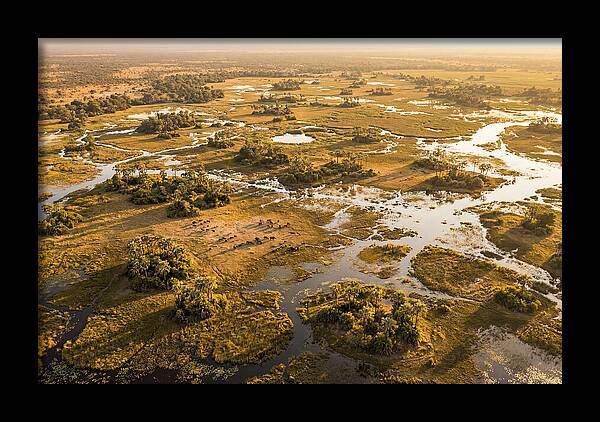 Tranquil Waters Of Okavango