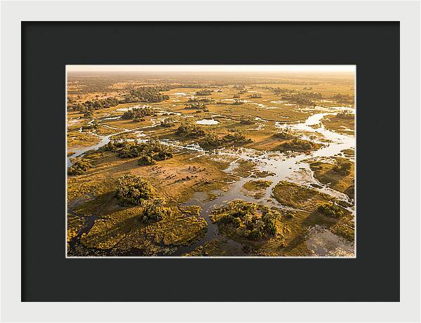 Tranquil Waters Of Okavango