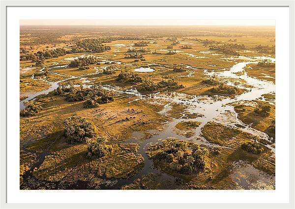 Tranquil Waters Of Okavango