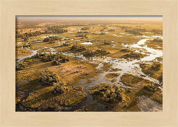 Tranquil Waters Of Okavango