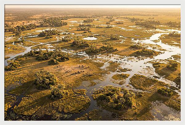 Tranquil Waters Of Okavango