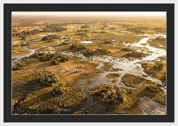 Tranquil Waters Of Okavango