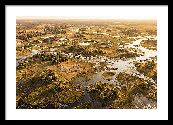 Tranquil Waters Of Okavango