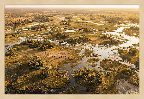 Tranquil Waters Of Okavango