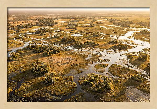 Tranquil Waters Of Okavango