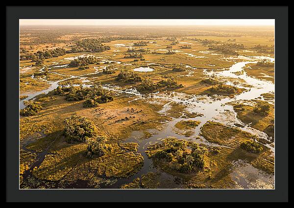 Tranquil Waters Of Okavango