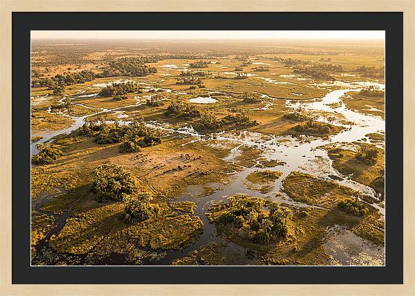 Tranquil Waters Of Okavango
