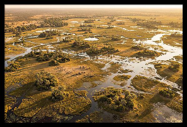 Tranquil Waters Of Okavango