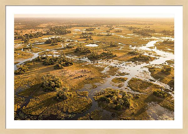 Tranquil Waters Of Okavango