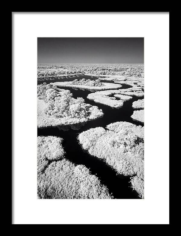 Tranquil Waters Of Okavango