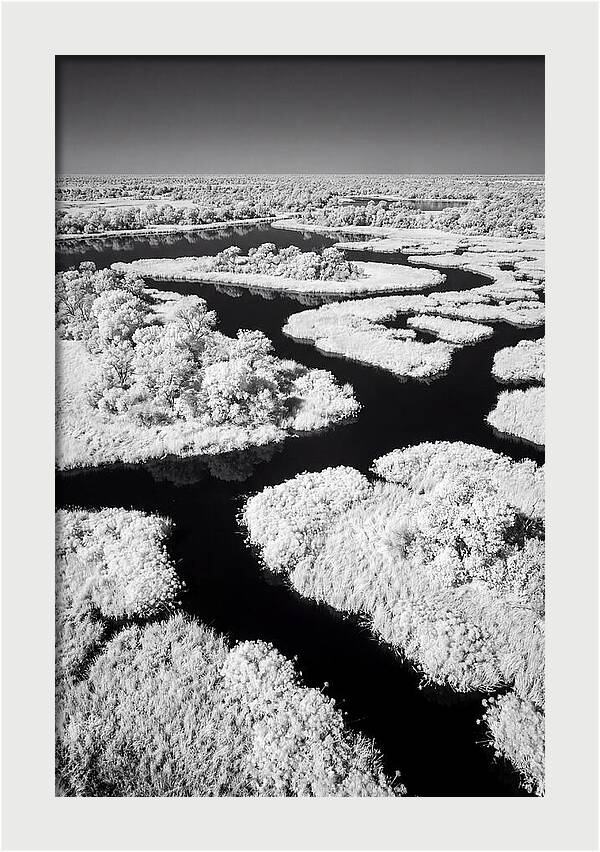 Tranquil Waters Of Okavango